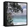 Tropical Surf-Mark Goodall-Framed Stretched Canvas