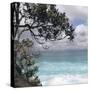 Tropical Surf-Mark Goodall-Stretched Canvas