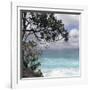 Tropical Surf-Mark Goodall-Framed Art Print