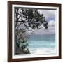 Tropical Surf-Mark Goodall-Framed Art Print