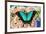 Tropical Swallowtail Butterfly, Papilio larquinianus on pink Gerber Daisies-Darrell Gulin-Framed Photographic Print