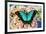 Tropical Swallowtail Butterfly, Papilio larquinianus on pink Gerber Daisies-Darrell Gulin-Framed Photographic Print