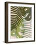 Tropical Tangle I-Victoria Borges-Framed Art Print