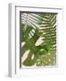 Tropical Tangle II-Victoria Borges-Framed Art Print