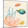 Tropical Teal Coral Medley II-Lanie Loreth-Mounted Art Print