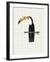 Tropical Toucan-Lisa Stickley-Framed Giclee Print