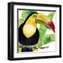 Tropical Toucan-Mary Escobedo-Framed Art Print