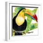 Tropical Toucan-Mary Escobedo-Framed Art Print