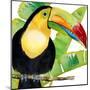 Tropical Toucan-Mary Escobedo-Mounted Art Print