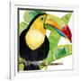 Tropical Toucan-Mary Escobedo-Framed Art Print