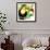 Tropical Toucan-Mary Escobedo-Framed Art Print displayed on a wall