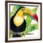 Tropical Toucan-Mary Escobedo-Framed Art Print