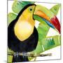 Tropical Toucan-Mary Escobedo-Mounted Art Print