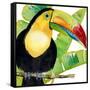 Tropical Toucan-Mary Escobedo-Framed Stretched Canvas