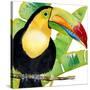 Tropical Toucan-Mary Escobedo-Stretched Canvas