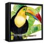 Tropical Toucan-Mary Escobedo-Framed Stretched Canvas