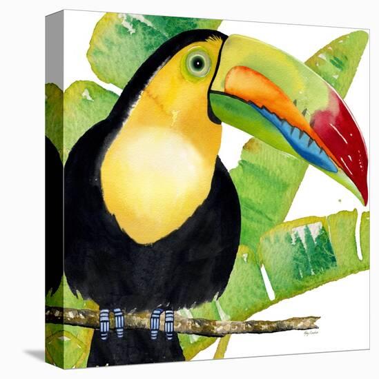 Tropical Toucan-Mary Escobedo-Stretched Canvas