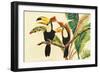 Tropical Toucans I-Linda Baliko-Framed Art Print