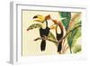 Tropical Toucans I-Linda Baliko-Framed Art Print