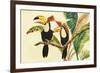 Tropical Toucans I-Linda Baliko-Framed Art Print