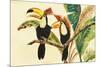 Tropical Toucans I-Linda Baliko-Mounted Art Print