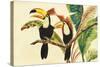 Tropical Toucans I-Linda Baliko-Stretched Canvas