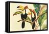 Tropical Toucans I-Linda Baliko-Framed Stretched Canvas