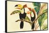 Tropical Toucans I-Linda Baliko-Framed Stretched Canvas