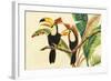 Tropical Toucans I-Linda Baliko-Framed Art Print