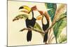 Tropical Toucans I-Linda Baliko-Mounted Art Print
