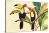 Tropical Toucans I-Linda Baliko-Stretched Canvas