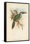 Tropical Toucans I-John Gould-Framed Stretched Canvas