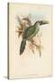 Tropical Toucans I-John Gould-Stretched Canvas