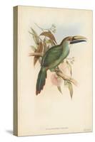 Tropical Toucans I-John Gould-Stretched Canvas