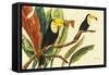 Tropical Toucans II-Linda Baliko-Framed Stretched Canvas