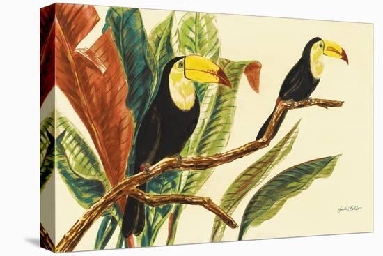 Tropical Toucans II-Linda Baliko-Stretched Canvas
