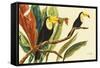Tropical Toucans II-Linda Baliko-Framed Stretched Canvas
