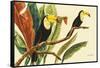 Tropical Toucans II-Linda Baliko-Framed Stretched Canvas