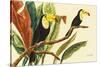 Tropical Toucans II-Linda Baliko-Stretched Canvas