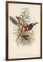 Tropical Toucans III-John Gould-Framed Art Print