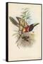 Tropical Toucans III-John Gould-Framed Stretched Canvas