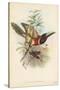 Tropical Toucans III-John Gould-Stretched Canvas