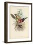 Tropical Toucans III-John Gould-Framed Art Print