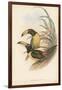 Tropical Toucans IV-John Gould-Framed Art Print