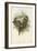 Tropical Toucans VI-John Gould-Framed Art Print