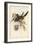 Tropical Toucans VIII-John Gould-Framed Art Print