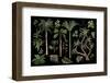 Tropical Trees and Plants Isolated for Jungle Landscape . Vector-Yulimuli-Framed Photographic Print