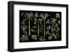 Tropical Trees and Plants Isolated for Jungle Landscape . Vector-Yulimuli-Framed Photographic Print