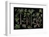 Tropical Trees and Plants Isolated for Jungle Landscape . Vector-Yulimuli-Framed Photographic Print