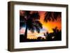 Tropical Trees by the Beach in Central America, Guanacaste, Costa Rica-mervas-Framed Photographic Print